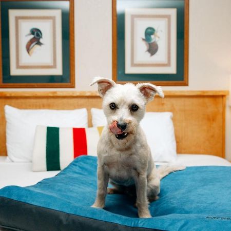 Timbers Motel Бігфорк Екстер'єр фото